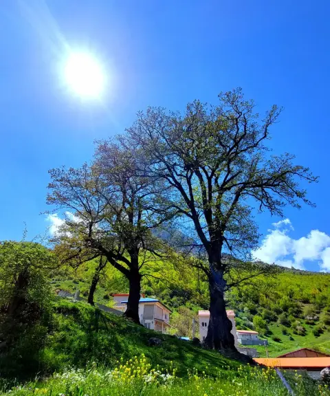 روستای اوریم، مازندران