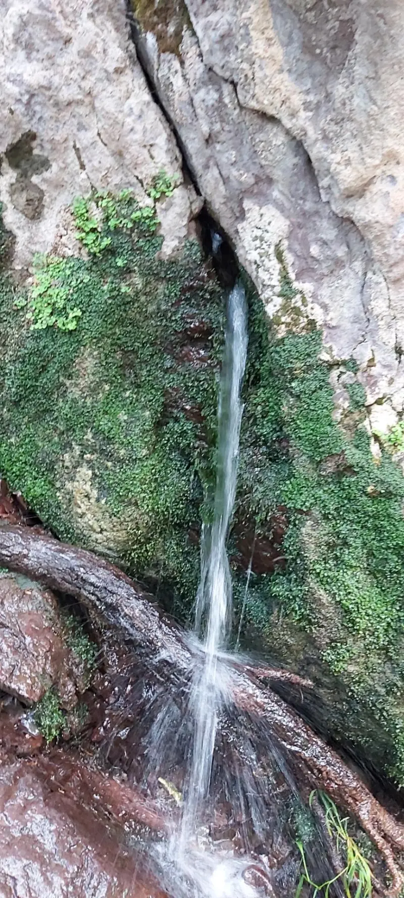 آبشار ارزنه - تصویر 8