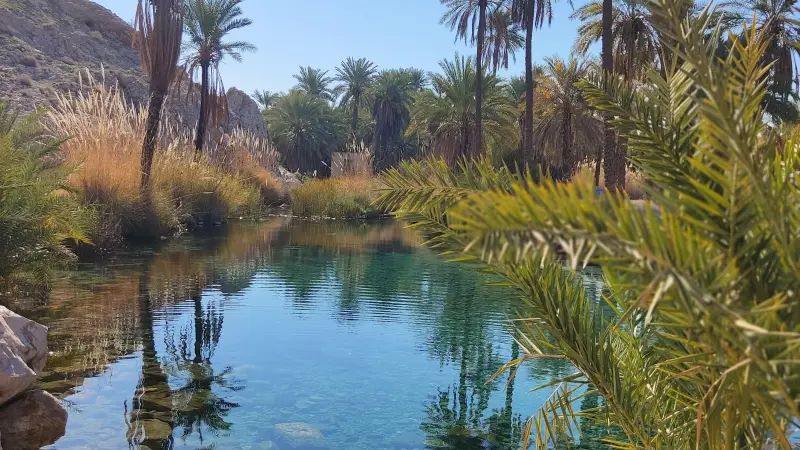 چشمه سبز پوشان - تصویر 2