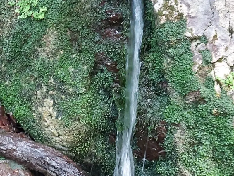 آبشار ارزنه - تصویر 8