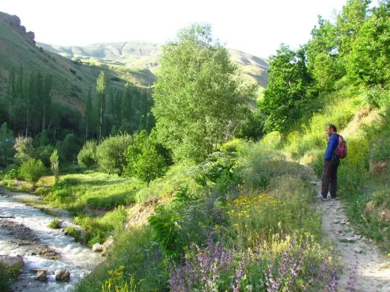 روستای گته ده - تصویر 3