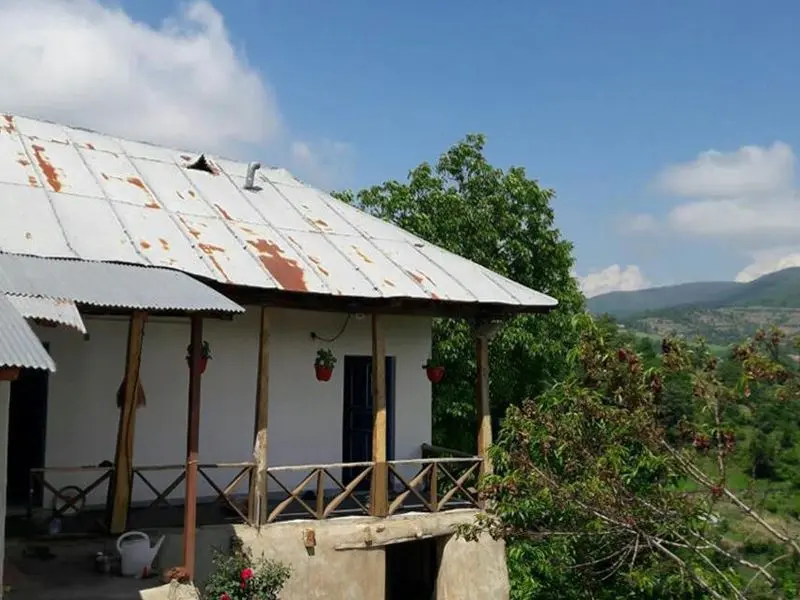 روستای عالی کلا - تصویر 1