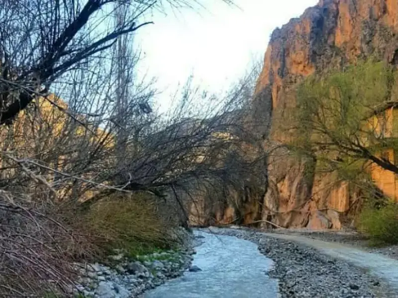 دره آل - تصویر 6
