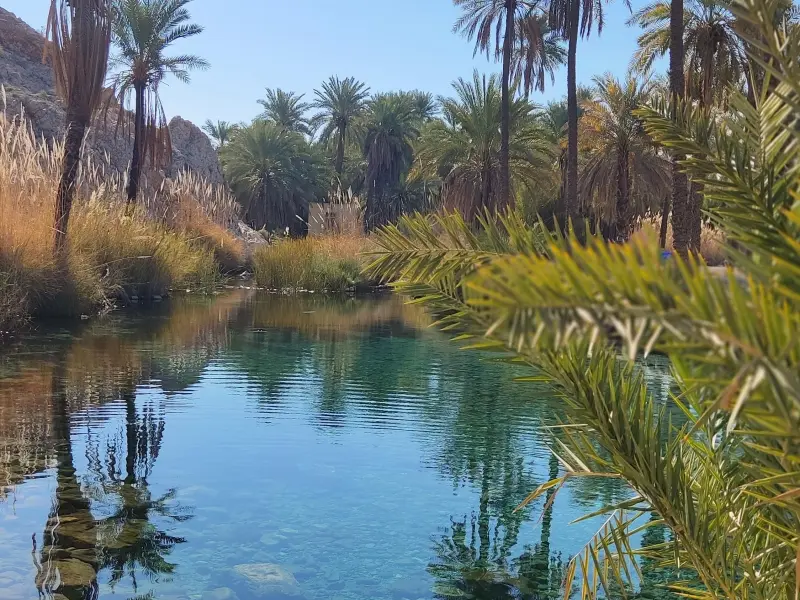 چشمه سبز پوشان - تصویر 2