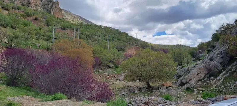 تنگه ارغوان - تصویر 3