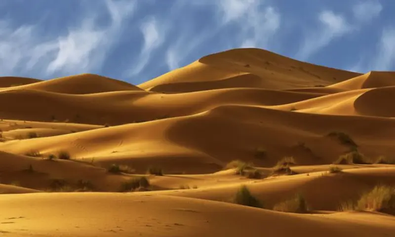 کویر ریگان - تصویر 1