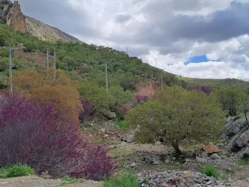 تنگه ارغوان - تصویر 3