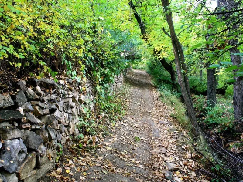 روستای ورده - تصویر 5