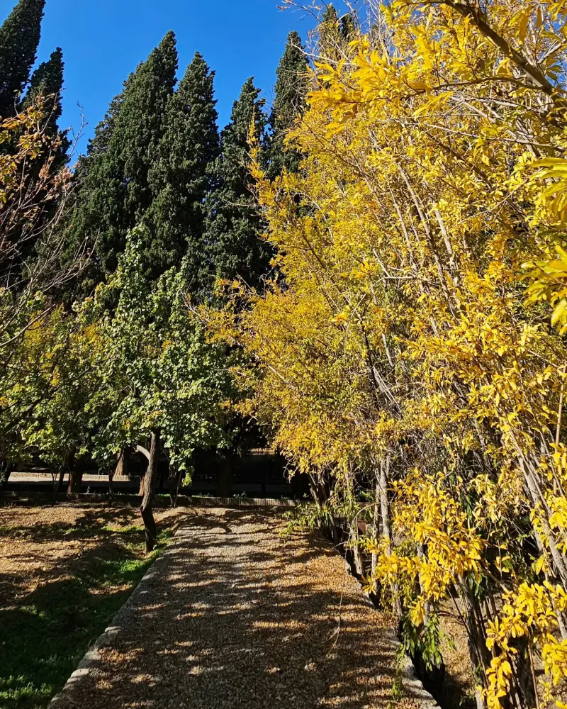 باغ و عمارت رحیم آباد - تصویر 11