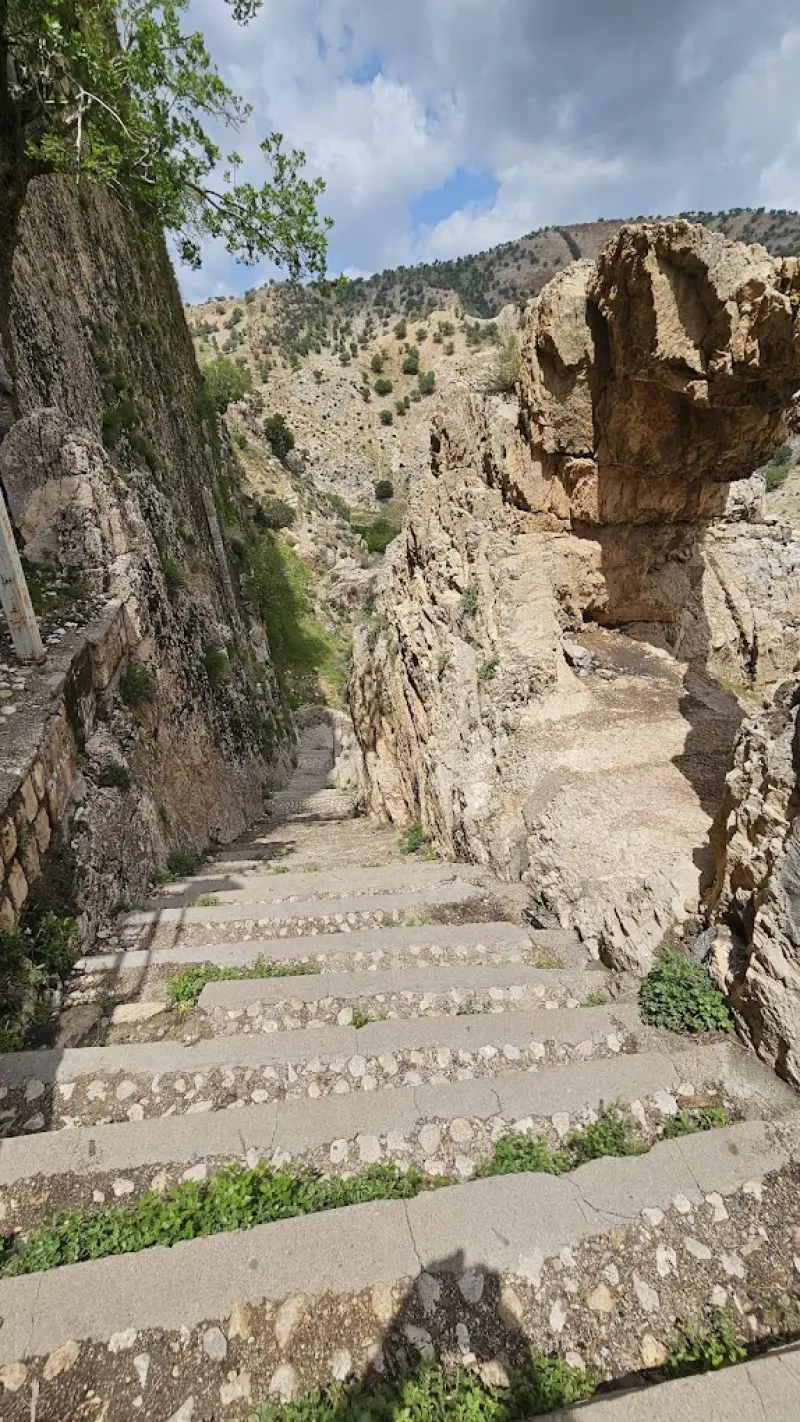 غار کوگان - تصویر 2