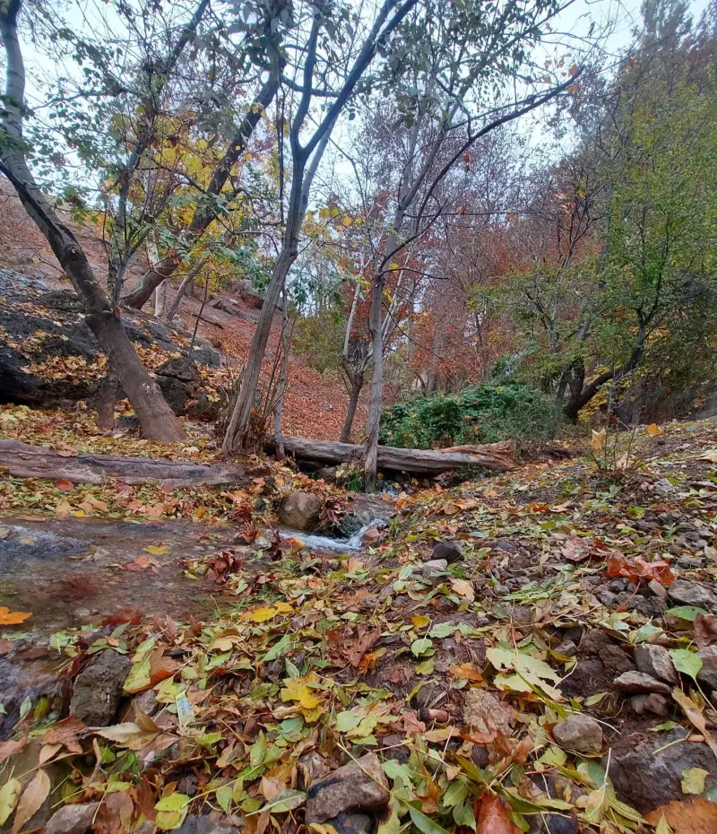 روستای کمرد - تصویر 3