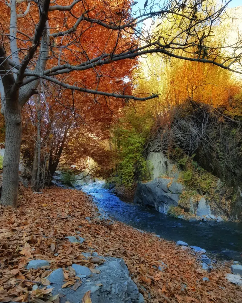 دره کشوه - تصویر 8