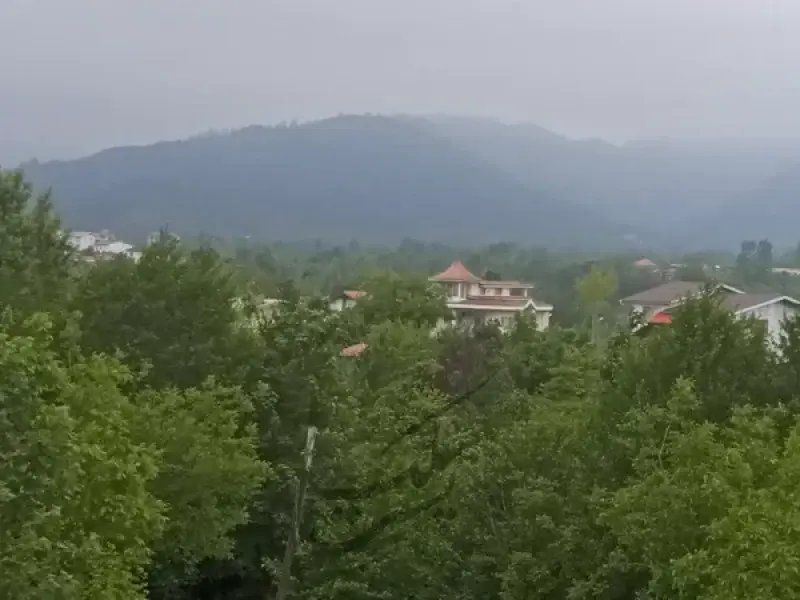 روستای بی‌بالان - تصویر 2