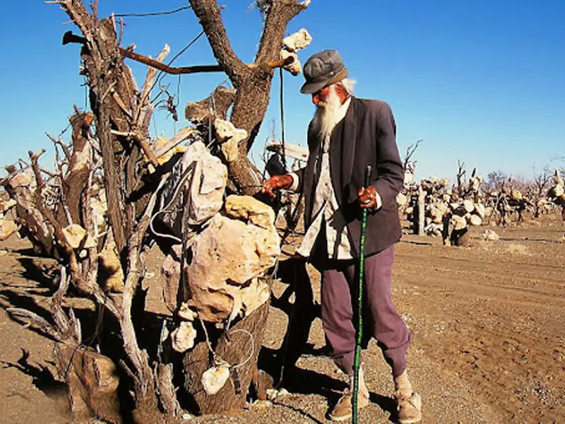 باغ سنگی سیرجان - تصویر 5