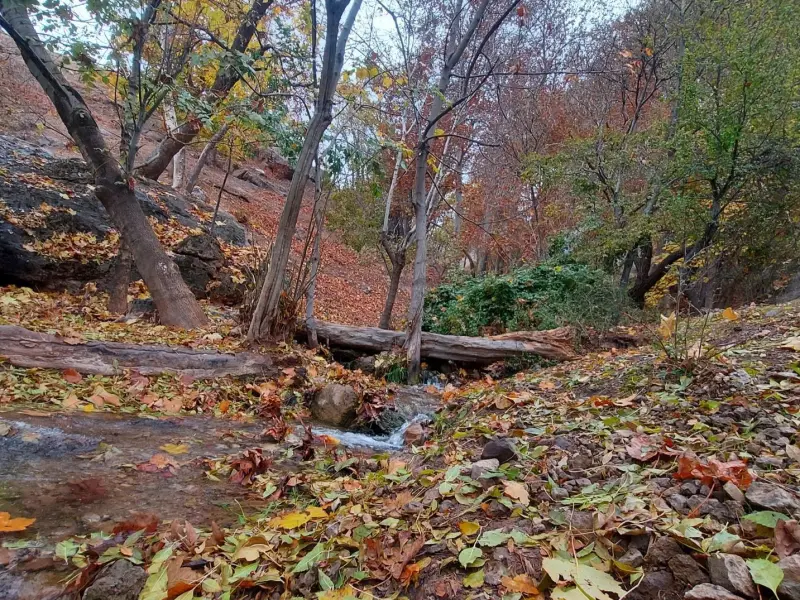 روستای کمرد - تصویر 3