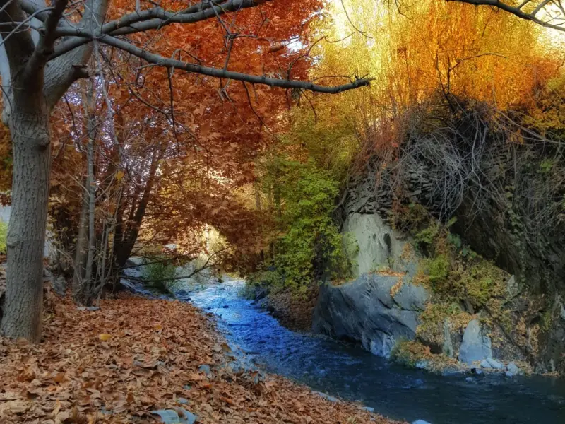 دره کشوه - تصویر 8
