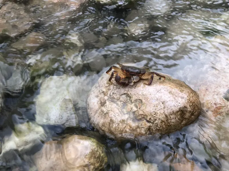 تنگ خیرودکنار - تصویر 4