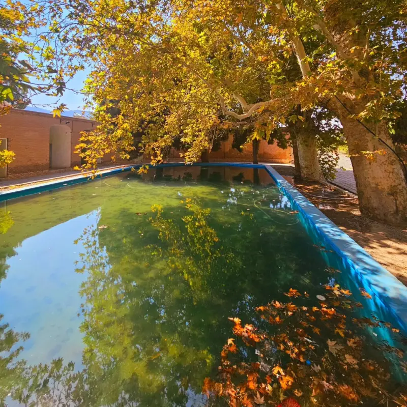 باغ امیرآباد - تصویر 3