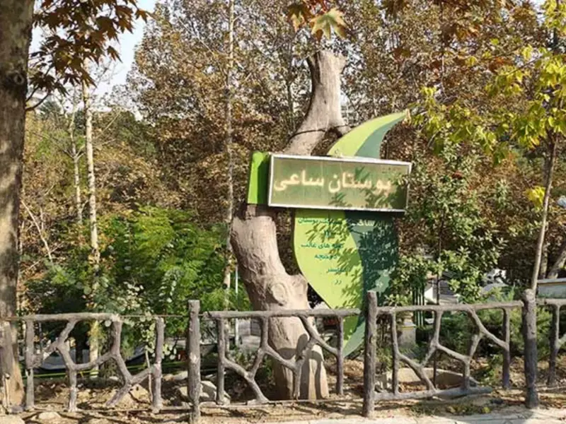 پارک ساعی - تصویر 8