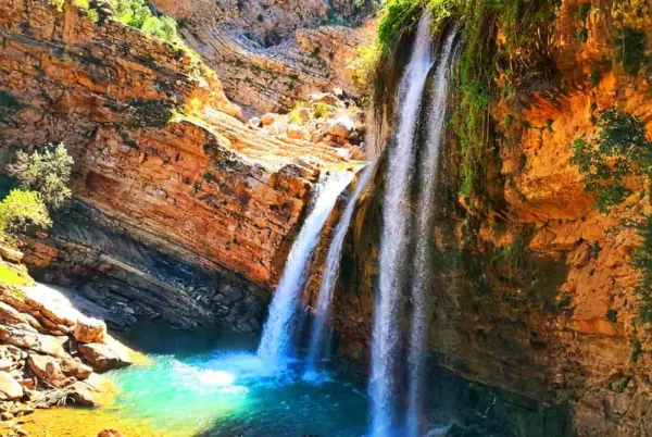 ستاره شمالی - تصویر 1