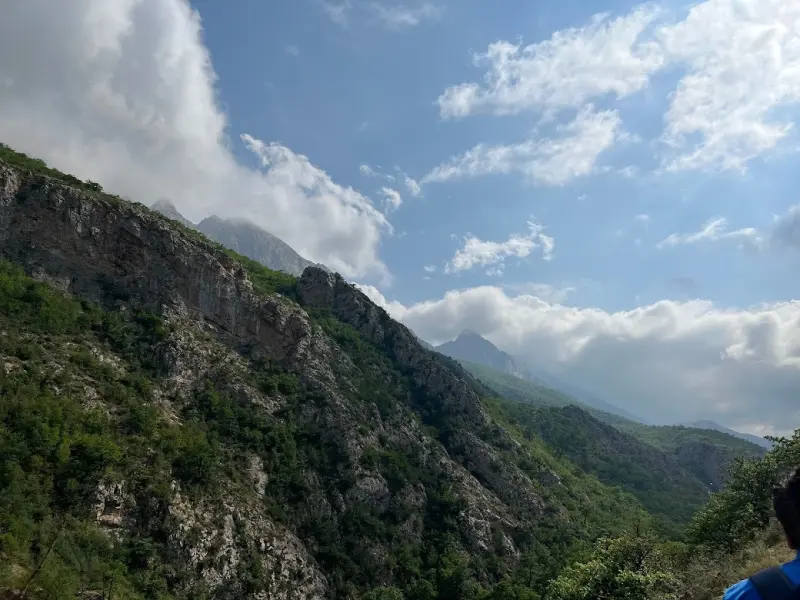 جنگل فینسک - تصویر 5