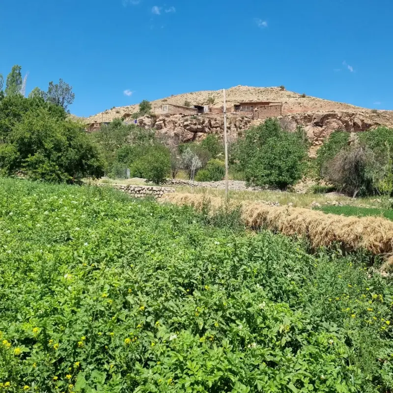 روستای بلغور - تصویر 7