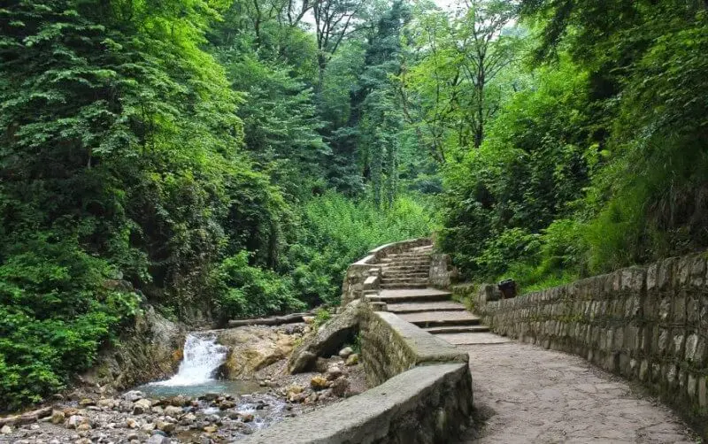 پارک جنگلی شهید زارع - تصویر 1
