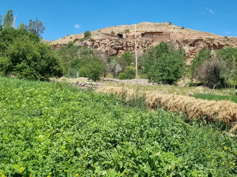 روستای بلغور - تصویر 7