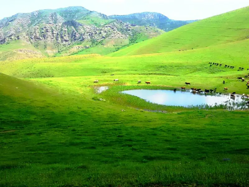 دریاچه قالغانلو