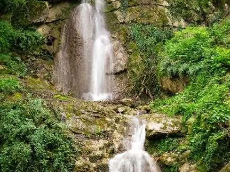 آبشار چلم زرین گل - تصویر 5