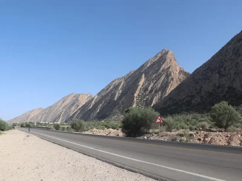 جنگل چاتیز - تصویر 2