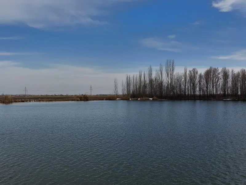 دریاچه برکه گوگلی
