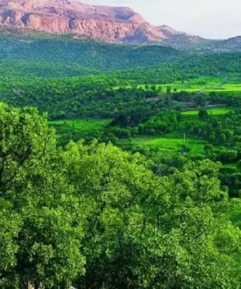 روستای سرمرغ، لرستان