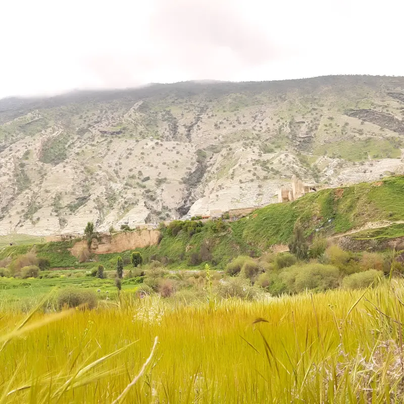 روستای آرو - تصویر 2