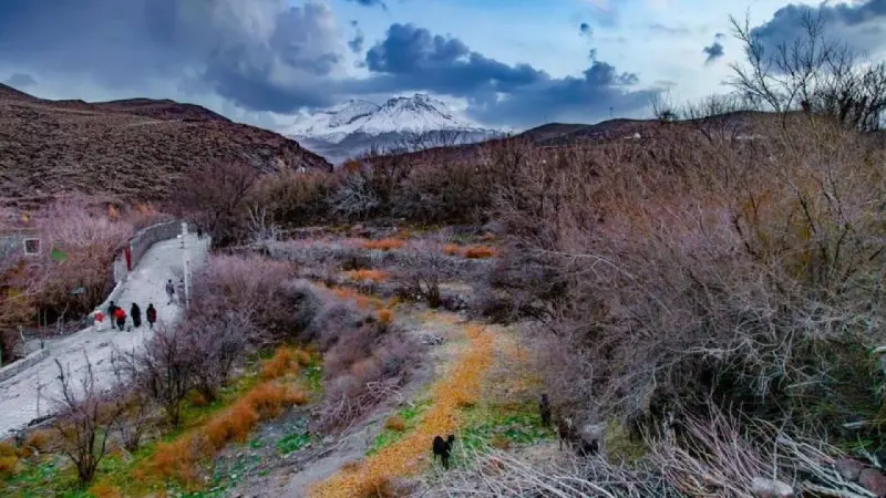 روستای تمین - تصویر 7