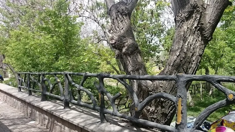 باغ فتح آباد - تصویر 1