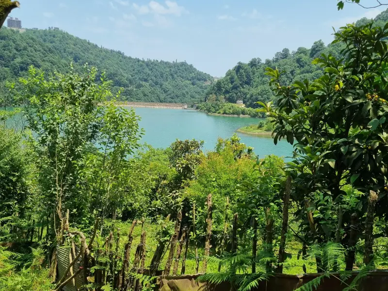 دریاچه سد میجران - تصویر 10