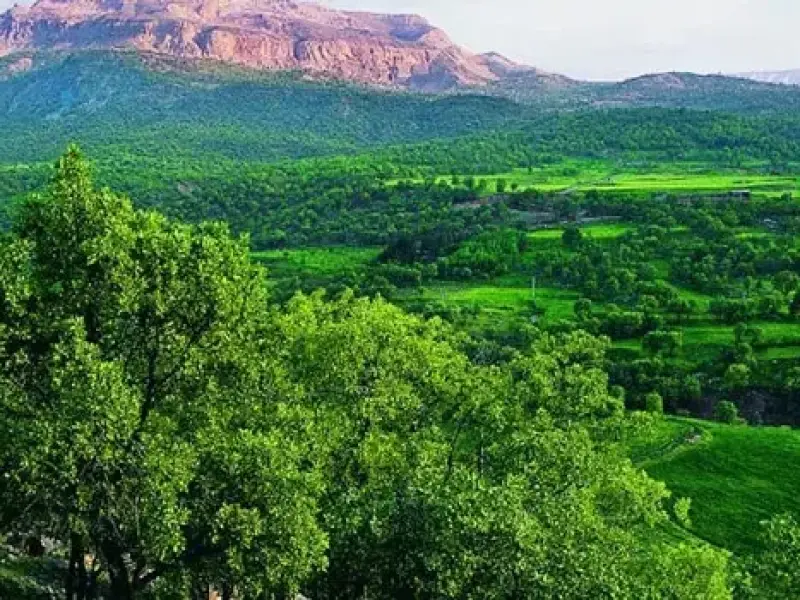 روستای سرمرغ