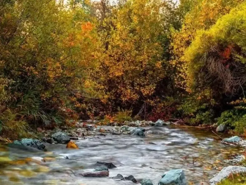 روستای ارنگه - تصویر 9