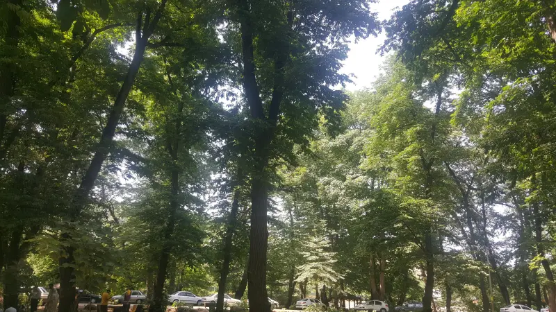 پارک جنگلی فین - تصویر 10