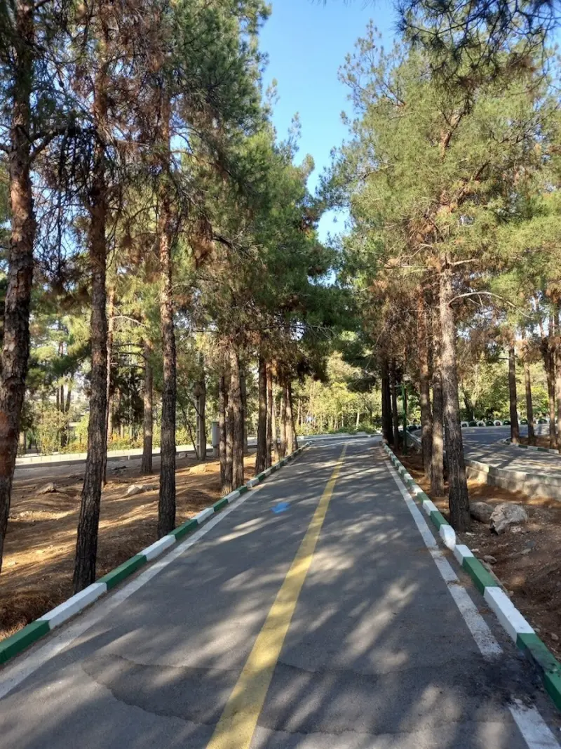 پارک جنگلی چیتگر - تصویر 6