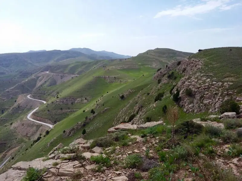 پارک ملی تندوره - تصویر 4