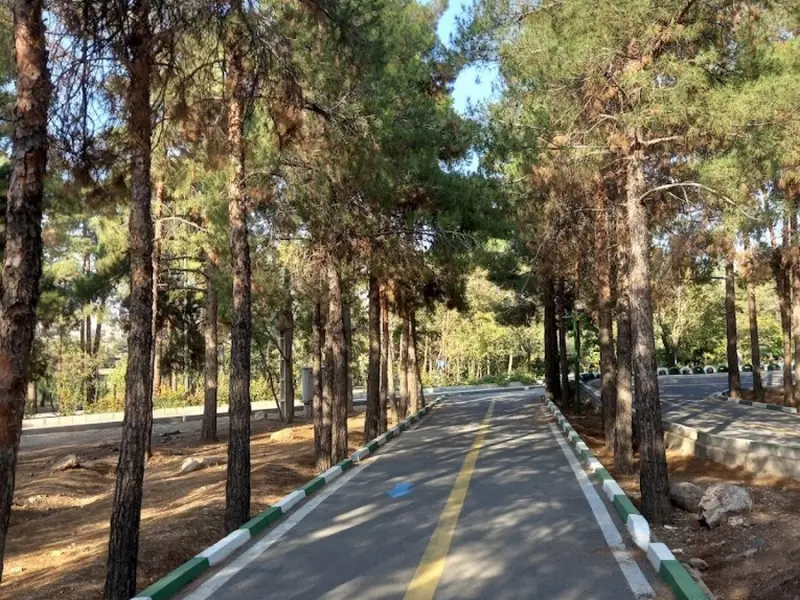 پارک جنگلی چیتگر - تصویر 6