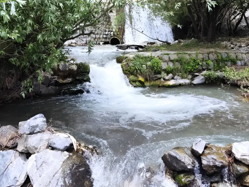 دره ربط