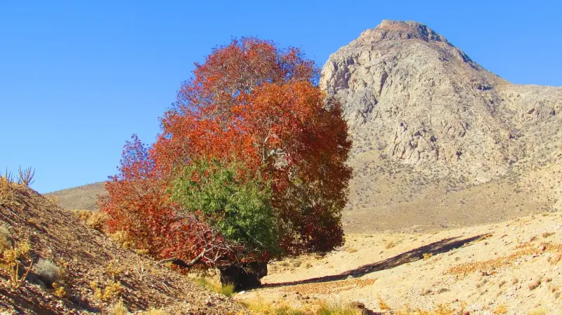 پارک ملی بختگان - تصویر 8