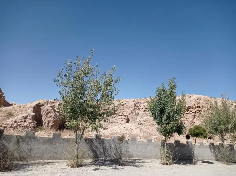 قلعه تاریخی الویر - تصویر 4