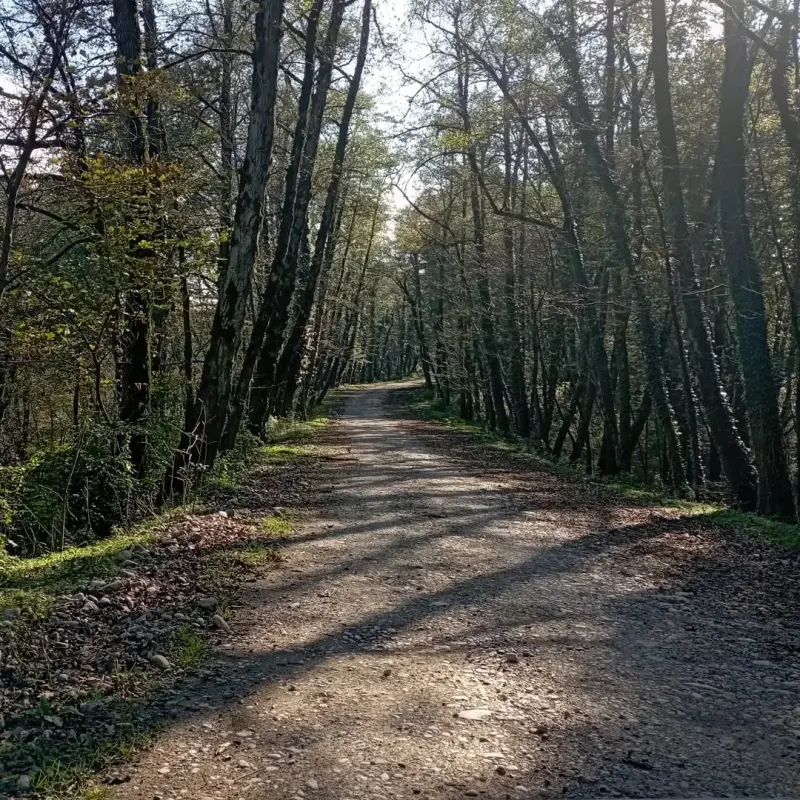 روستای سنگ بن - تصویر 2