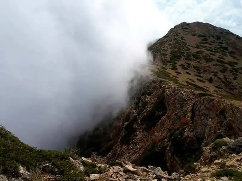 منطقه حفاظت شده جهان نما - تصویر 6