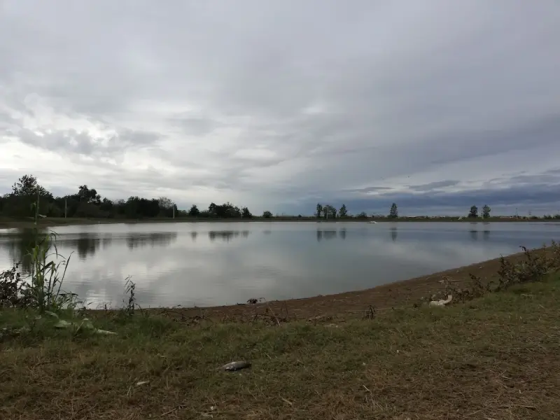 پارک جنگلی زاهدکلا - تصویر 5