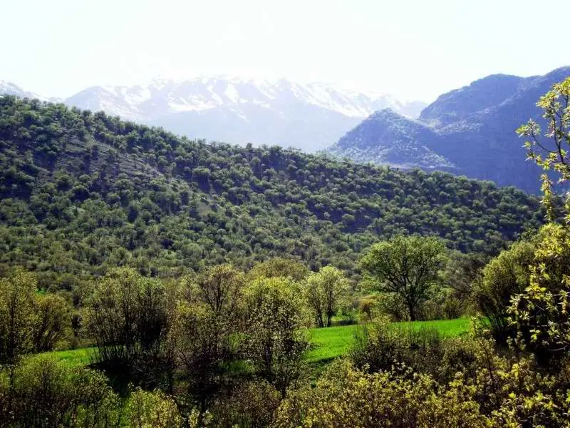 تنگه شبیخون - تصویر 5